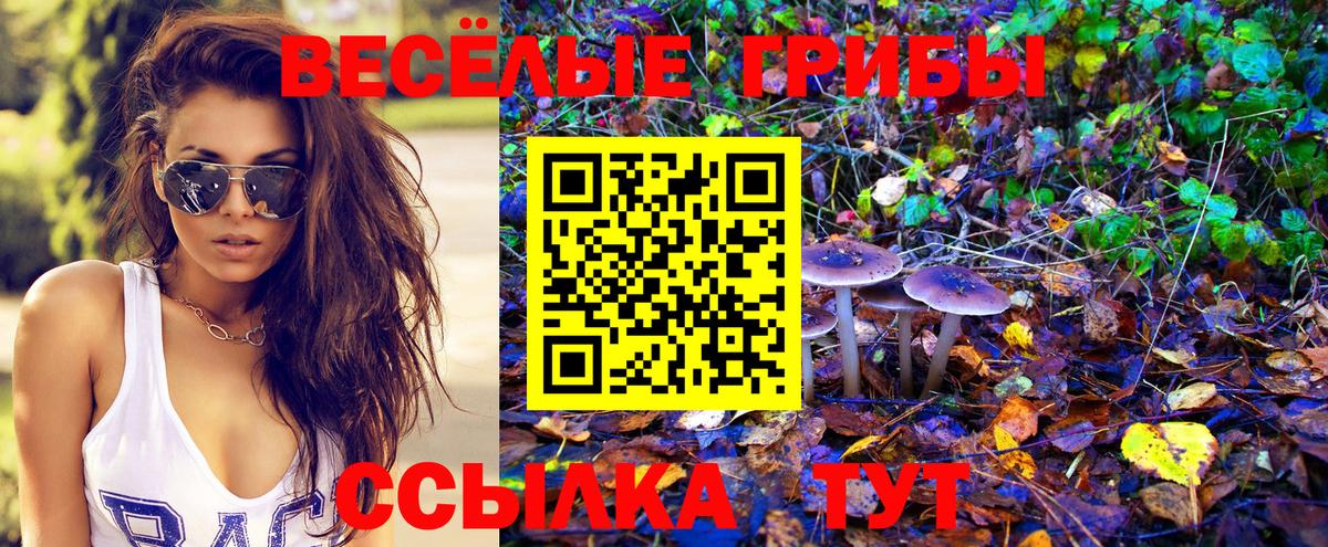 Галлюциногенные грибы GOLDEN TEACHER Асино
